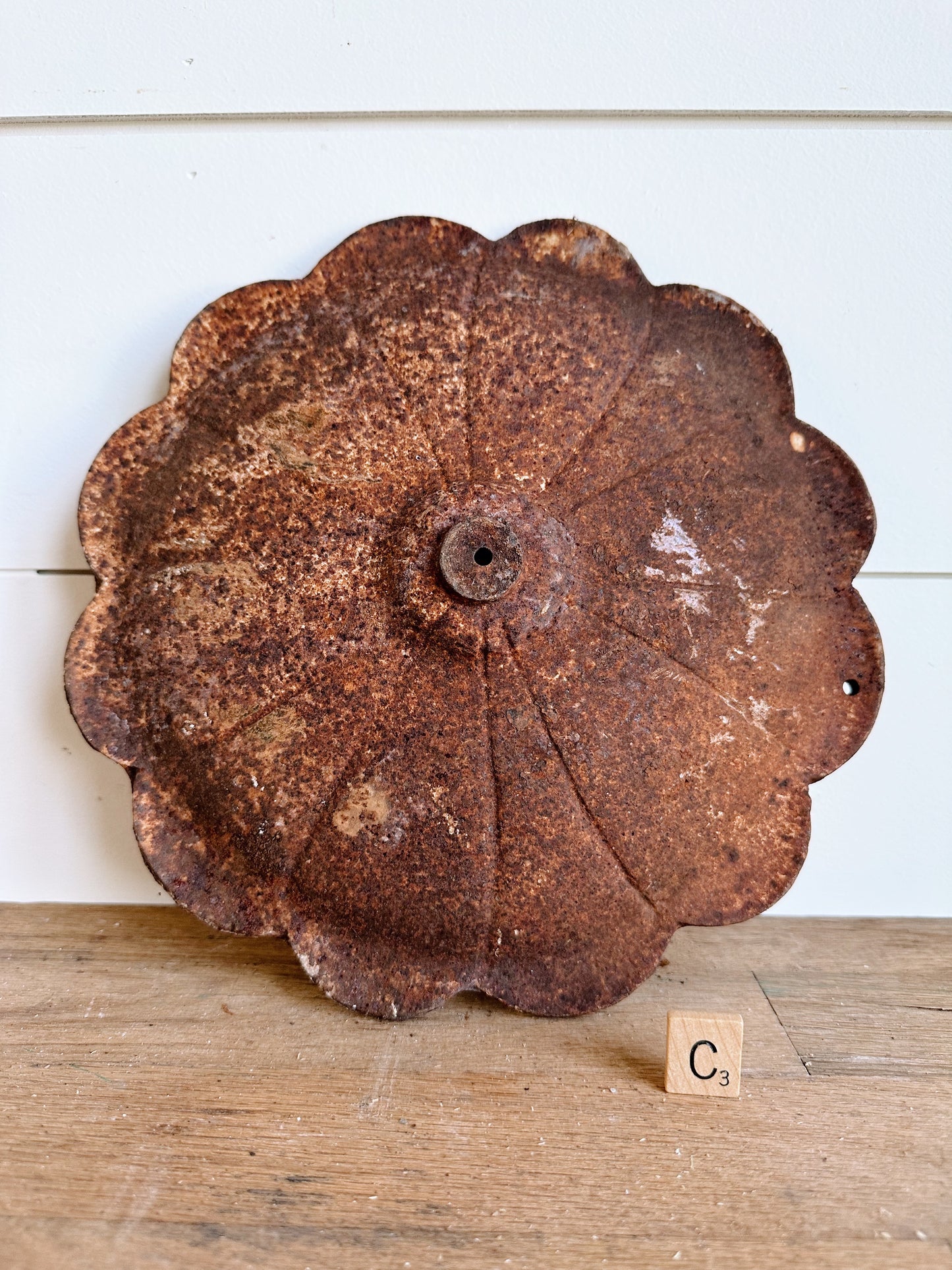 Chippy & Rusty Cast Iron Flowers