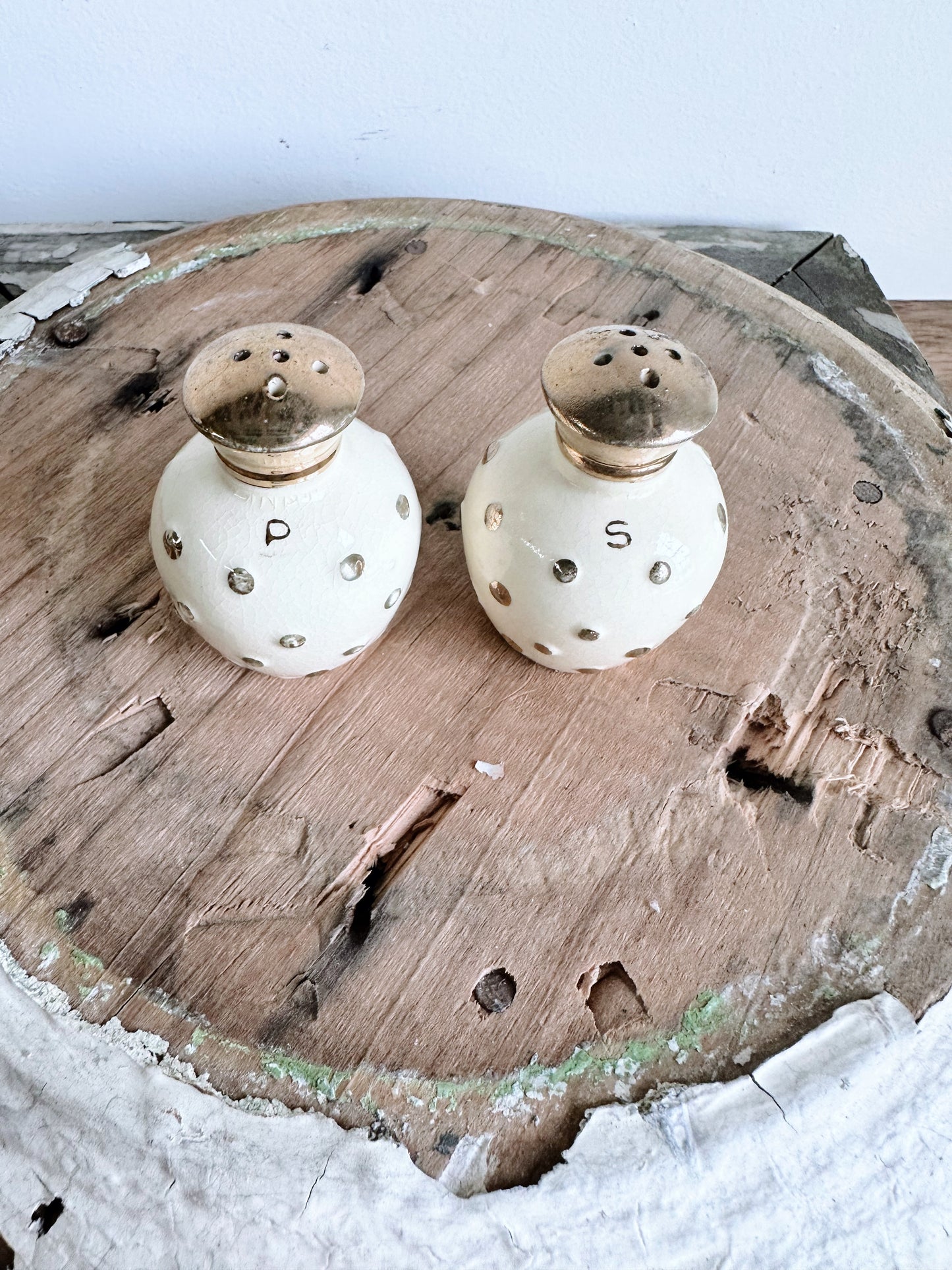 Vintage Polka Dot Salt & Pepper Shakers