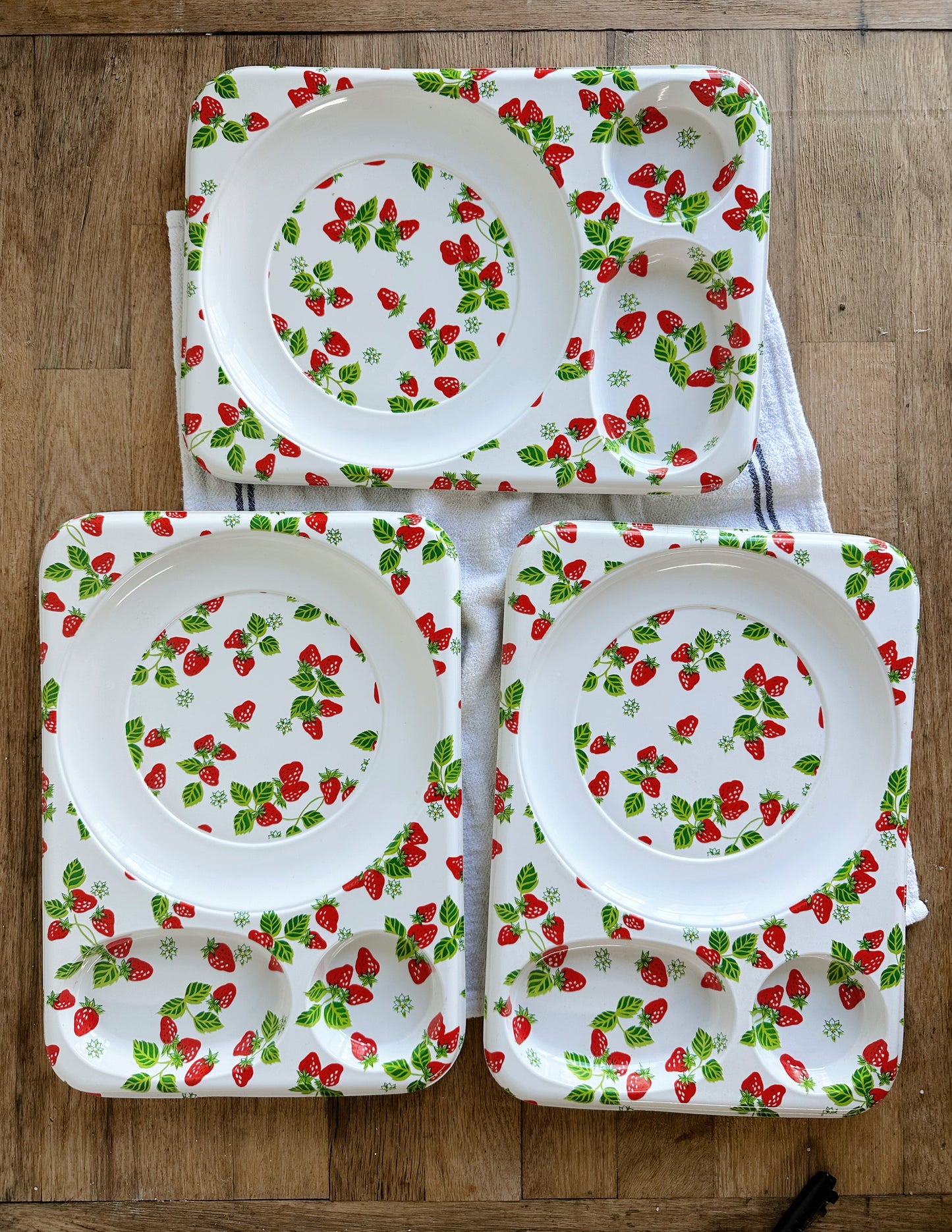 Collection of Six Strawberry Picnic Trays