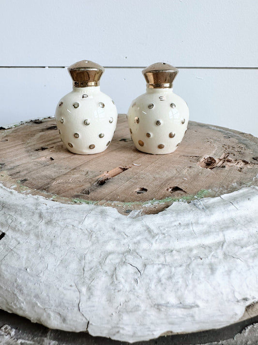 Vintage Polka Dot Salt & Pepper Shakers